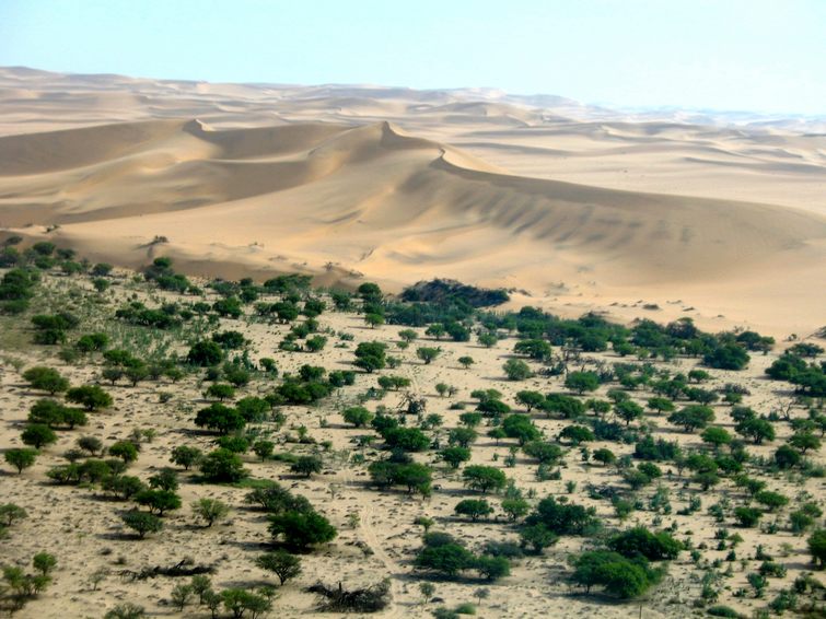 509 Namibia Okt 2006 .JPG
